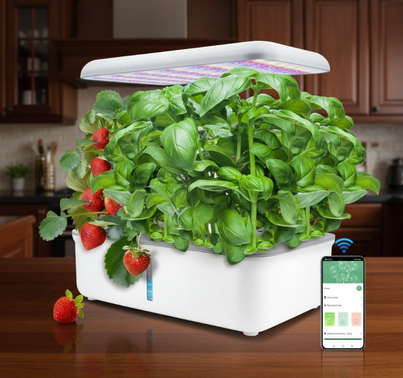 Hydroponic Growing System Kit