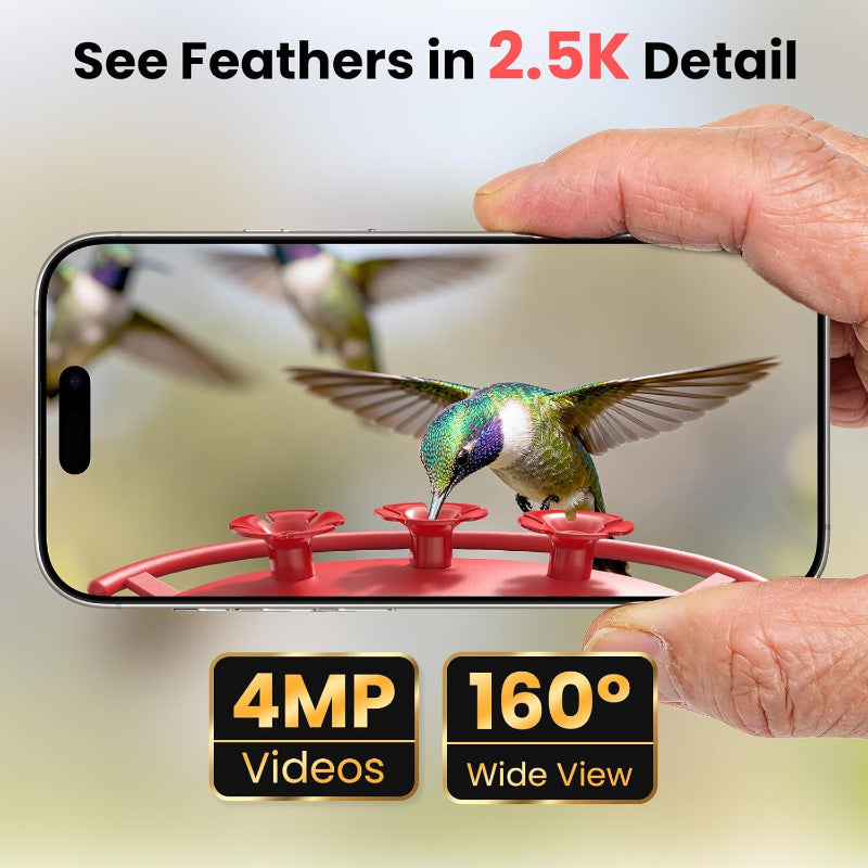Smart Hummingbird Feeder Camera 2.5K HD Solar AI With Night Vision ...