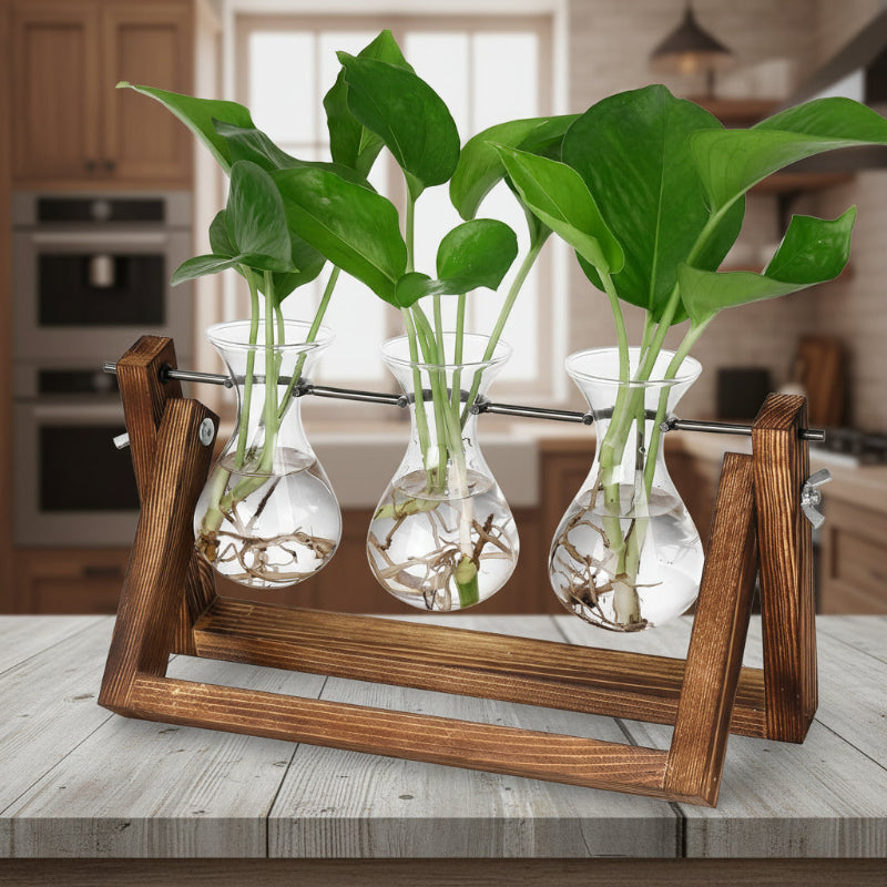 Plant Propagation Station