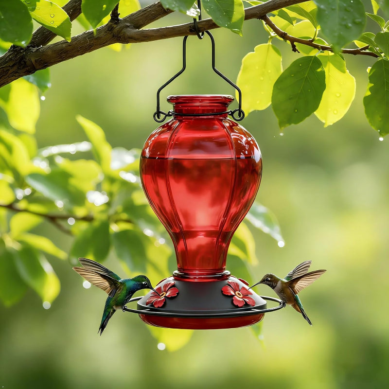 Glass Hummingbird Feeder 24oz | Leak-Proof Outdoor Bird Feeder