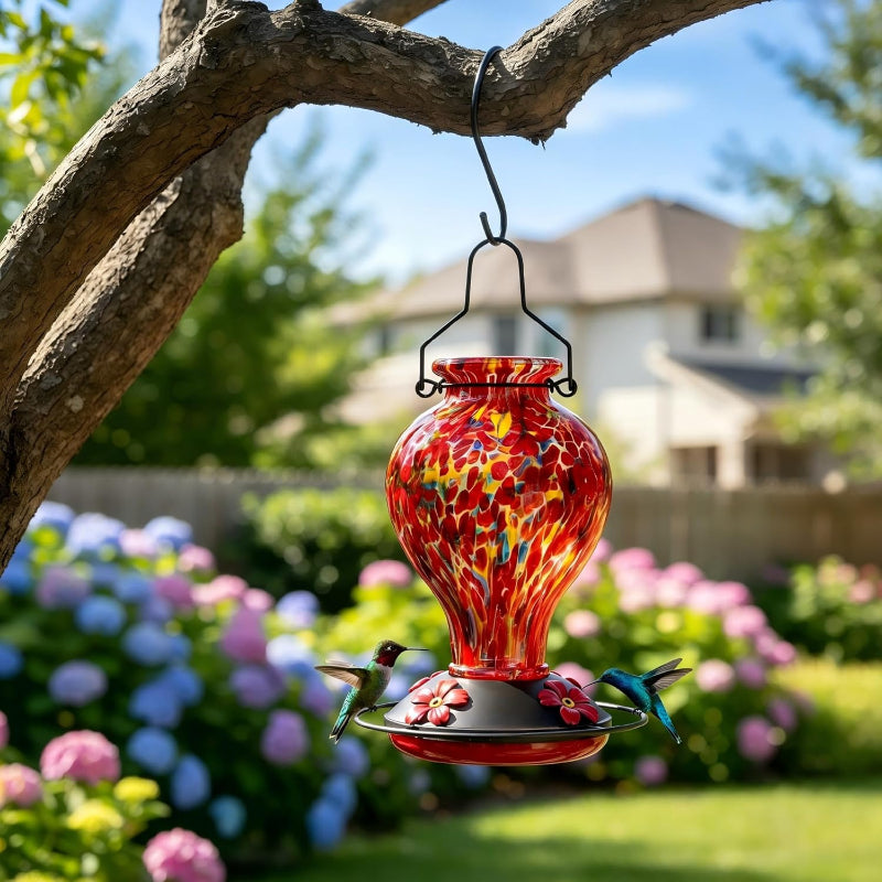 Glass Hummingbird Feeder 24oz | Leak-Proof Outdoor Bird Feeder