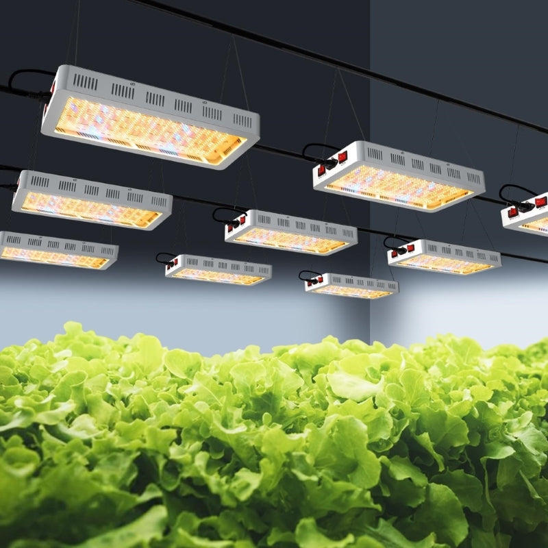 Full Spectrum LED Grow Light | High Yield Grow Lamp