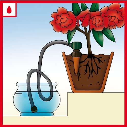 blumat automatic plant watering system Automatic Plant Watering Stakes