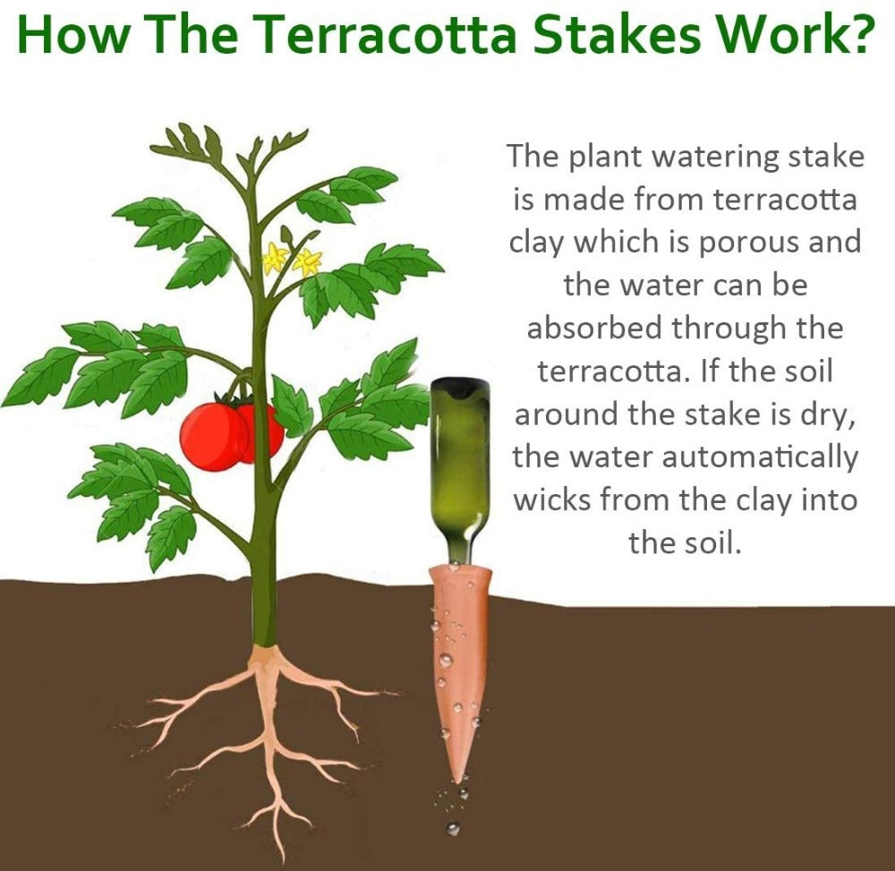 self watering stakes for plants Terracotta Watering Spikes – Self-Watering Stakes