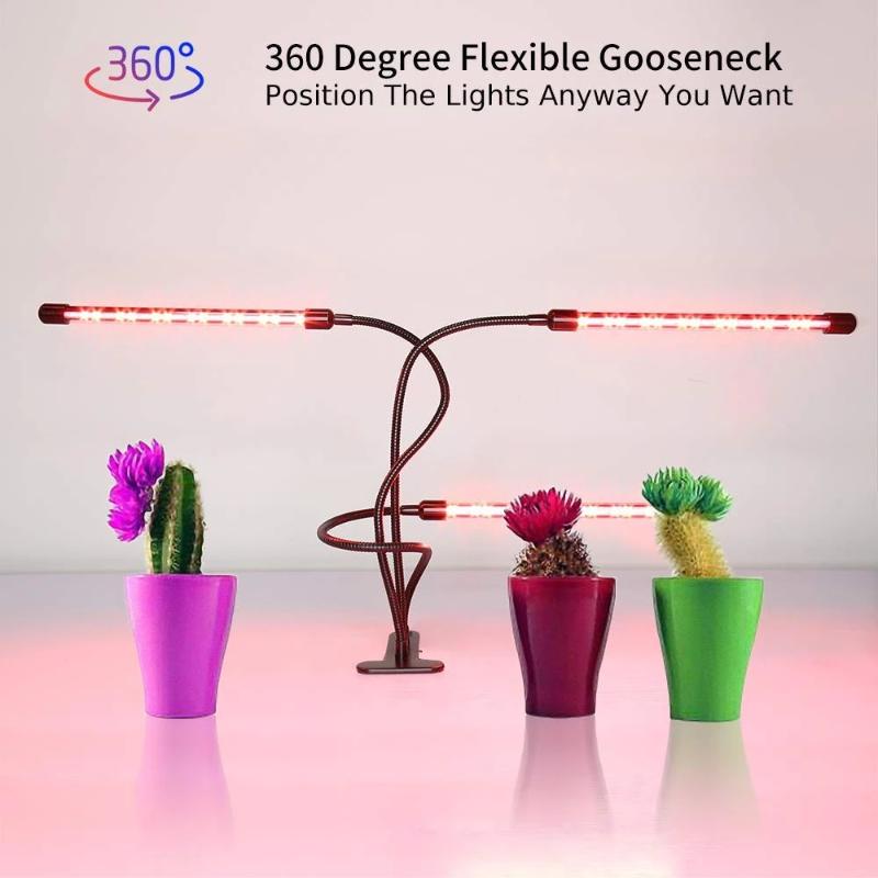 plant lamp for indoor plants Best Grow Lights for Indoor Plants – Boost Growth & Yield – AMAZING GARDEN