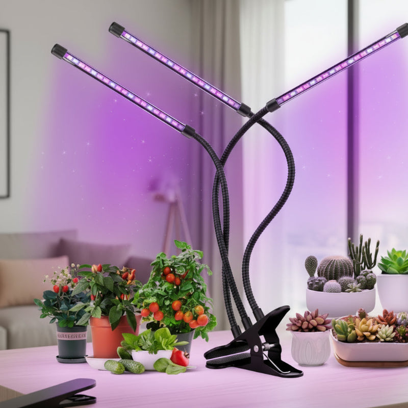 Best Grow Lights for Indoor Plants – Boost Growth & Yield