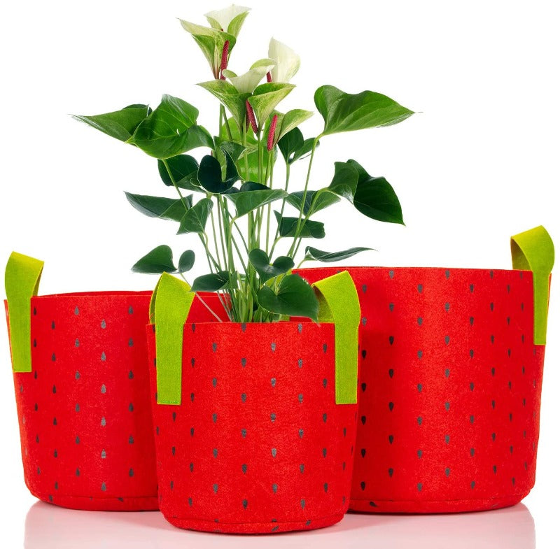 cellophane plant pot bags Plant Grow Bags