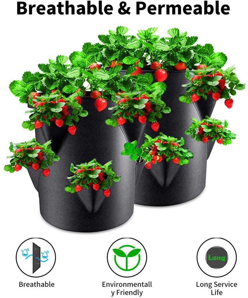Best Strawberry Planters Amazing Garden AMAZING GARDEN