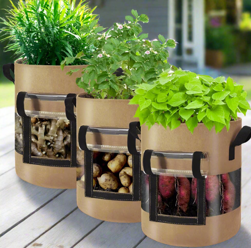 Potato Grow Bags with 360-Degree Visibility Window