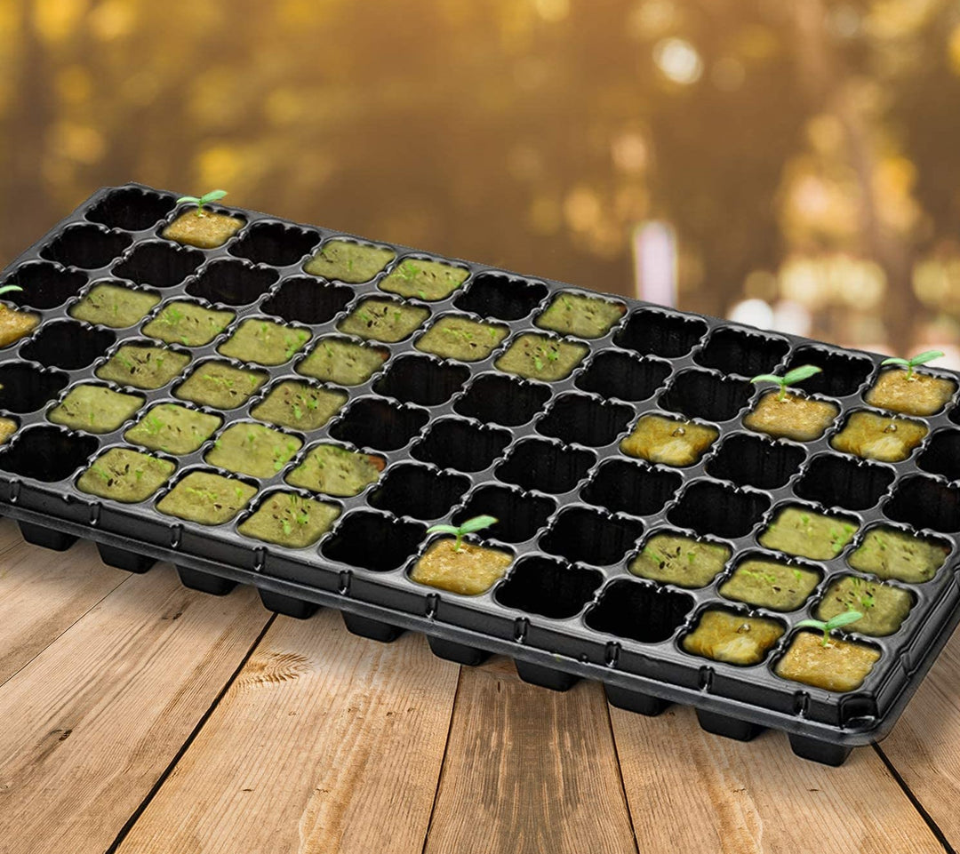 planting seeds in rockwool cubes Hydroponics Rockwool Cubes